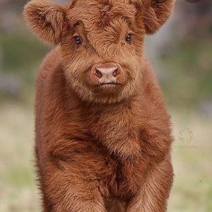 Meet your Posher, Blake